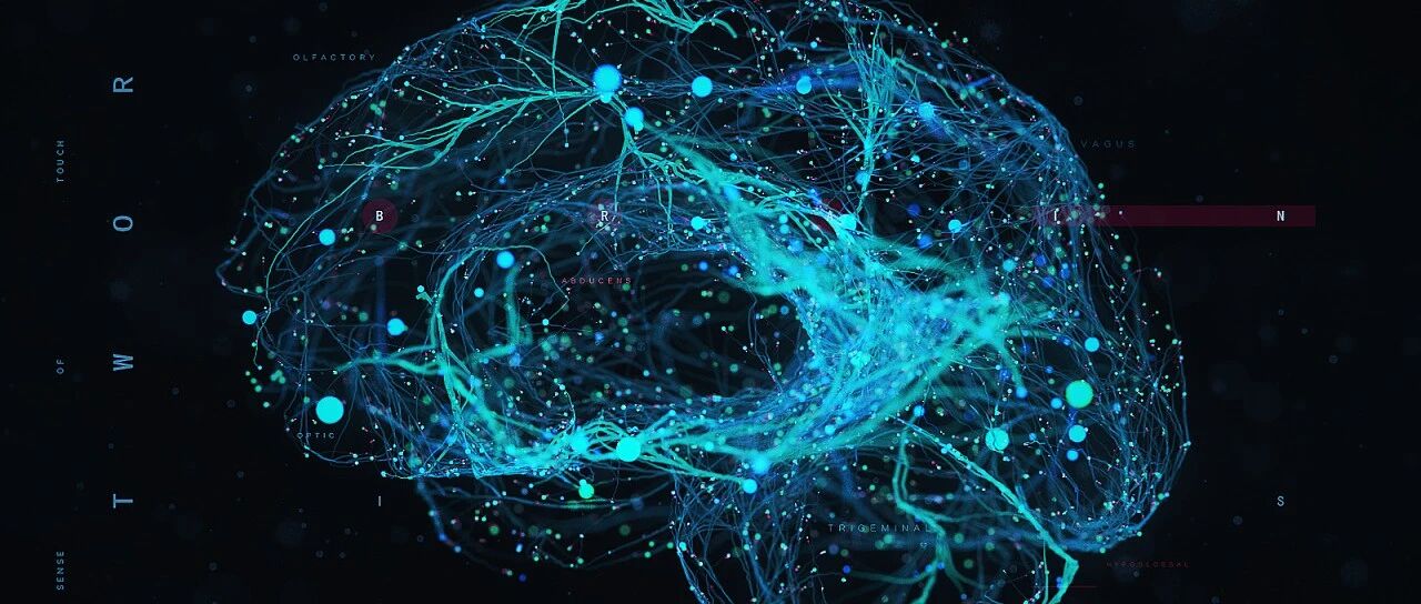 上交大许志钦：神经网络中的奥卡姆剃刀——简单有效原理