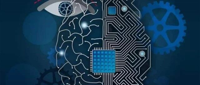 深度学习不可信？大脑建模先驱有话说