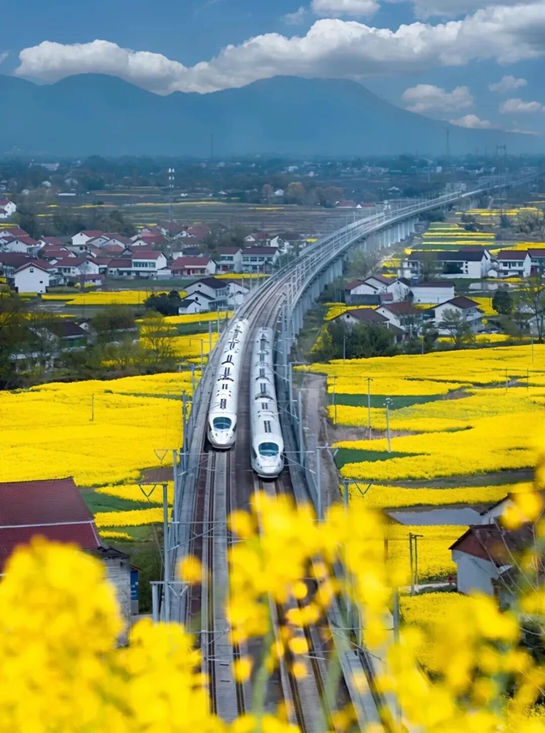 别去三亚挤了！清明拼假6天，我私藏的宝藏小城好吃到飞起，美到失语！