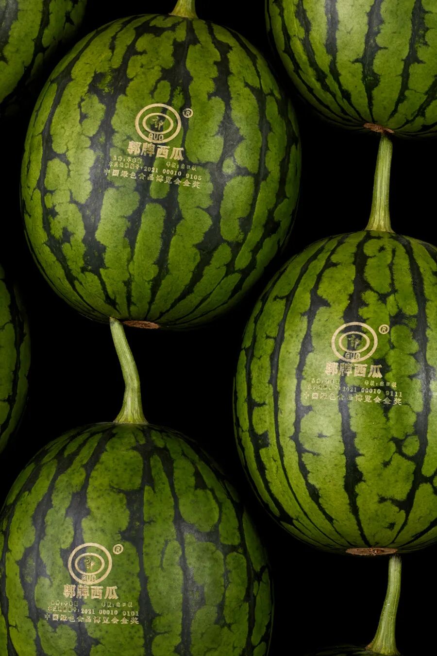 在对西瓜品质的管控上,郭牌西瓜可谓严格到了极致.