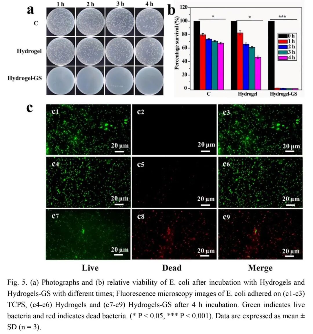 抗菌水凝胶怎么操作抗菌双网络水凝胶长期诱导内源性BMP生长因子快速修复大骨缺损_https://www.jmylbn.com_新闻资讯_第6张