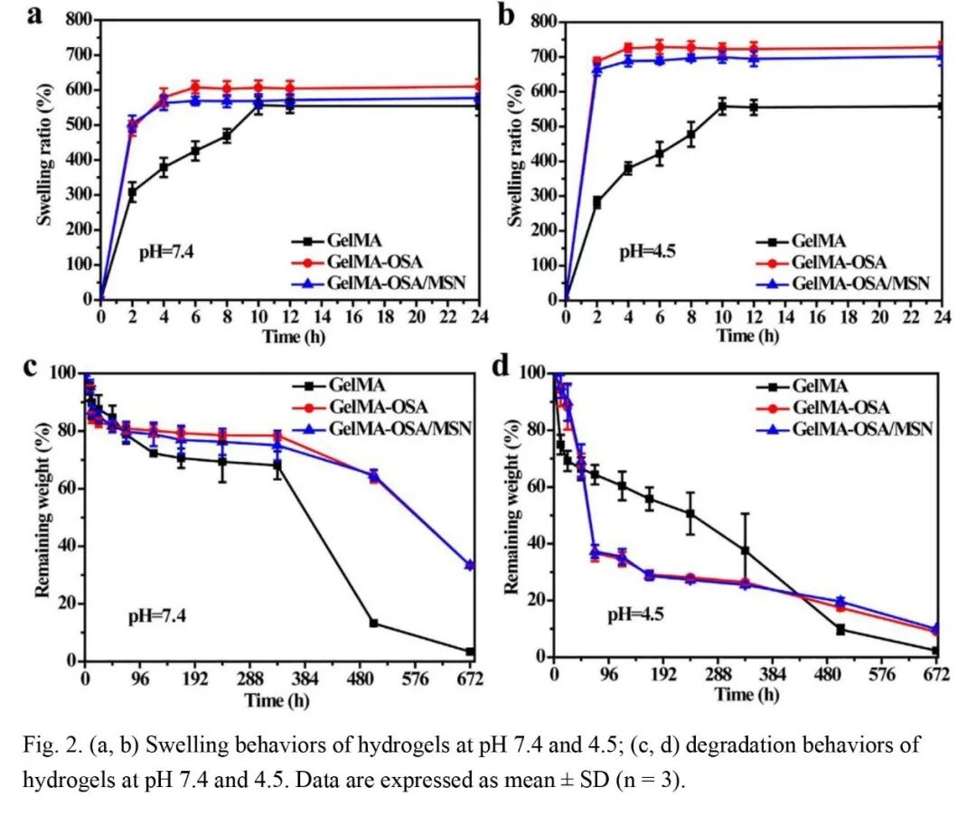 抗菌水凝胶怎么操作抗菌双网络水凝胶长期诱导内源性BMP生长因子快速修复大骨缺损_https://www.jmylbn.com_新闻资讯_第3张