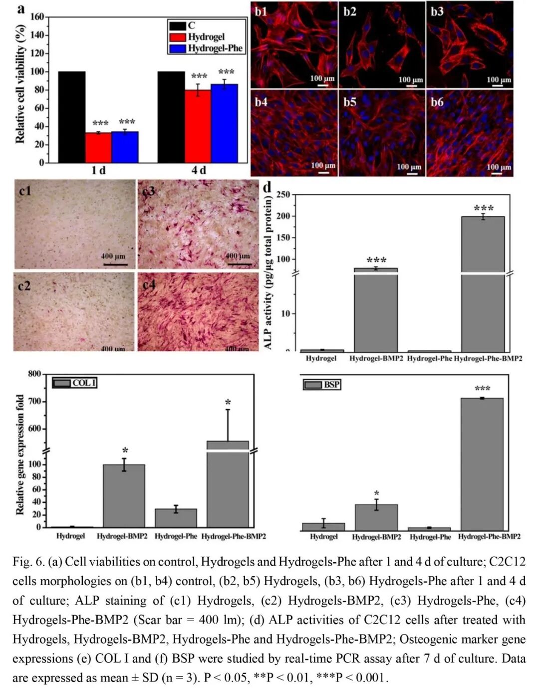 抗菌水凝胶怎么操作抗菌双网络水凝胶长期诱导内源性BMP生长因子快速修复大骨缺损_https://www.jmylbn.com_新闻资讯_第7张
