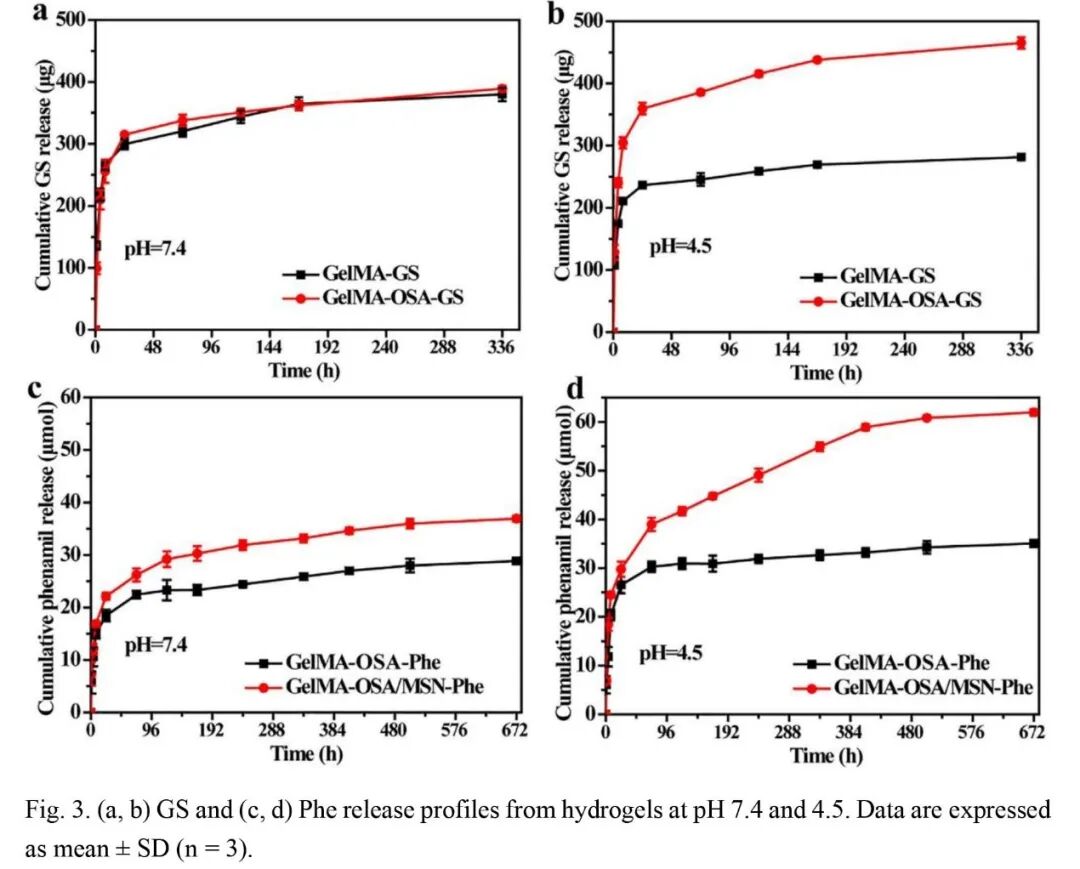 抗菌水凝胶怎么操作抗菌双网络水凝胶长期诱导内源性BMP生长因子快速修复大骨缺损_https://www.jmylbn.com_新闻资讯_第4张