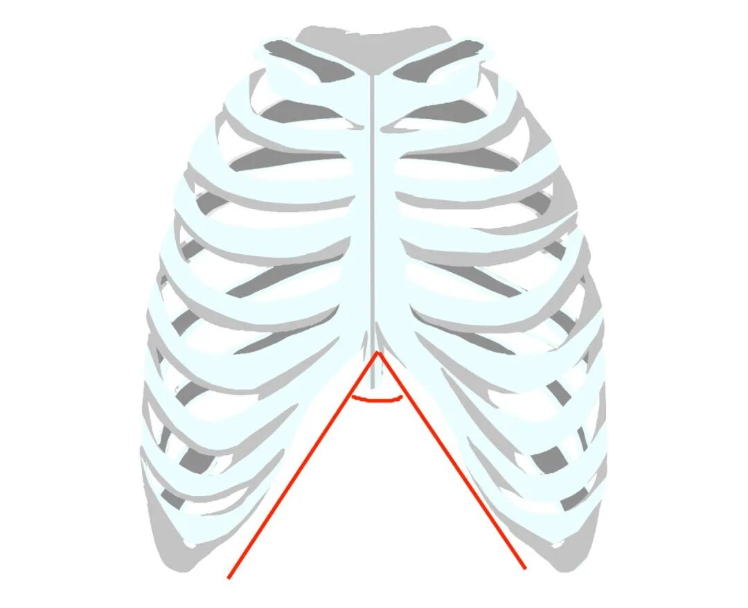 产后胸肋骨疼怎么回事产后妈妈容易忽略的健康问题——肋骨外翻_https://www.jmylbn.com_新闻资讯_第7张