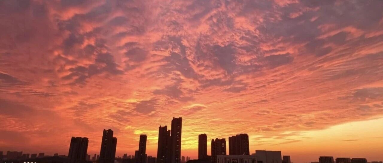 【青春语文·魏萍专栏】 看窗外的火烧云