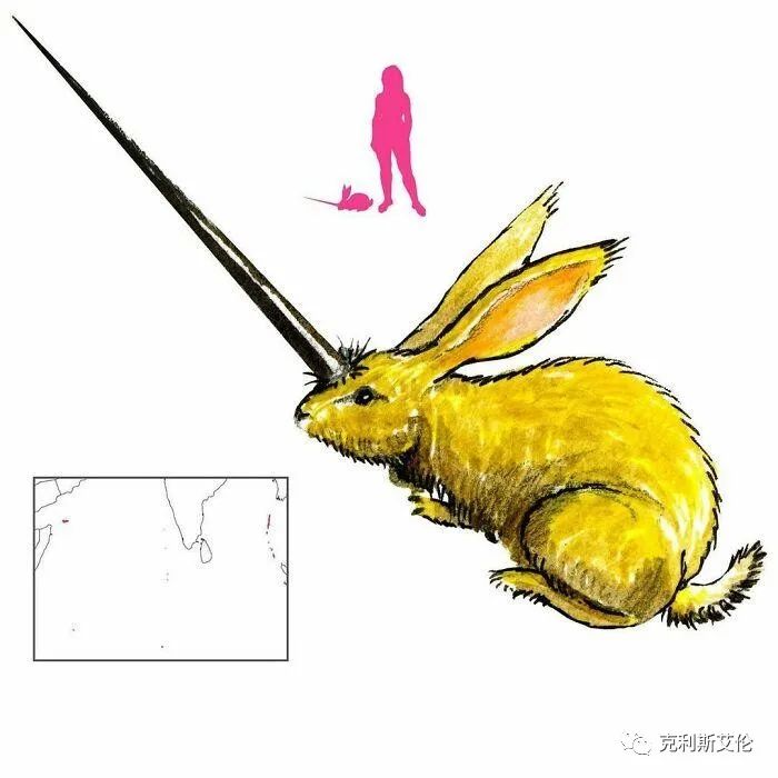 世间各种生物_世间生物都是怎么形成的_世间生物皆有灵性