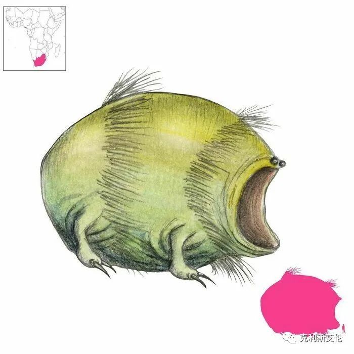 世间各种生物_世间生物皆有灵性_世间生物都是怎么形成的
