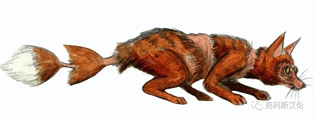 世间各种生物_世间生物皆有灵性_世间生物都是怎么形成的