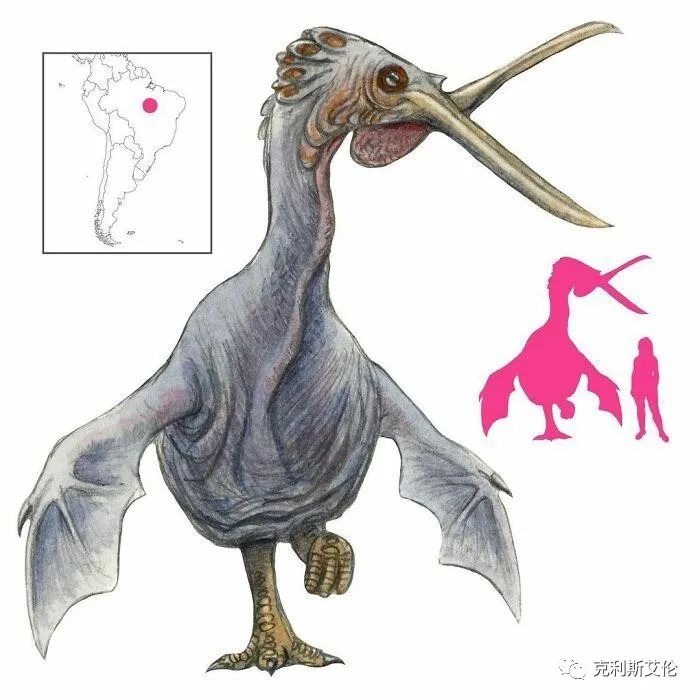 世间各种生物_世间生物都是怎么形成的_世间生物皆有灵性
