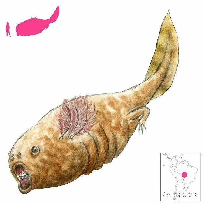 世间各种生物_世间生物皆有灵性_世间生物都是怎么形成的