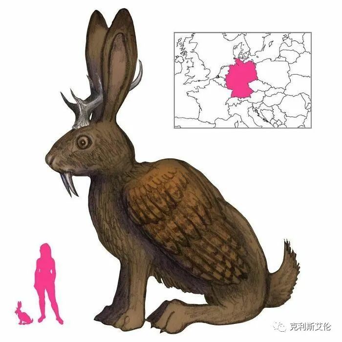 世间生物都是怎么形成的_世间生物皆有灵性_世间各种生物