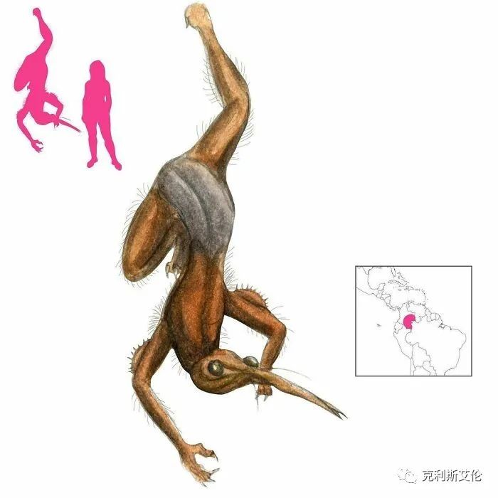 世间生物皆有灵性_世间生物都是怎么形成的_世间各种生物