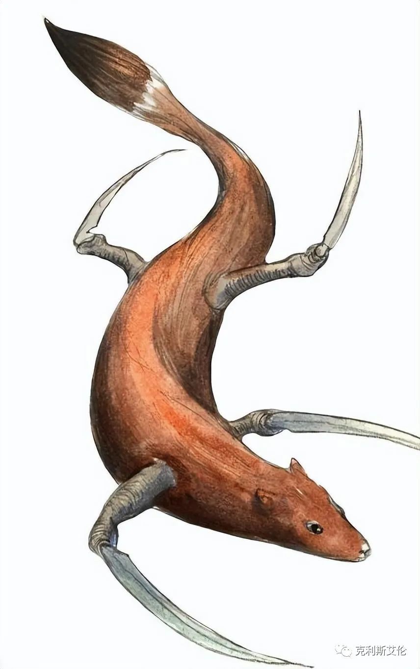世间各种生物_世间生物都是怎么形成的_世间生物皆有灵性