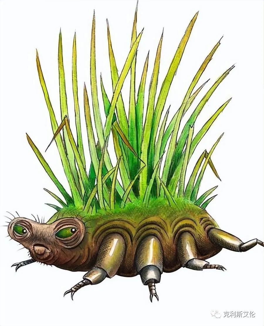 世间生物皆有灵性_世间生物都是怎么形成的_世间各种生物