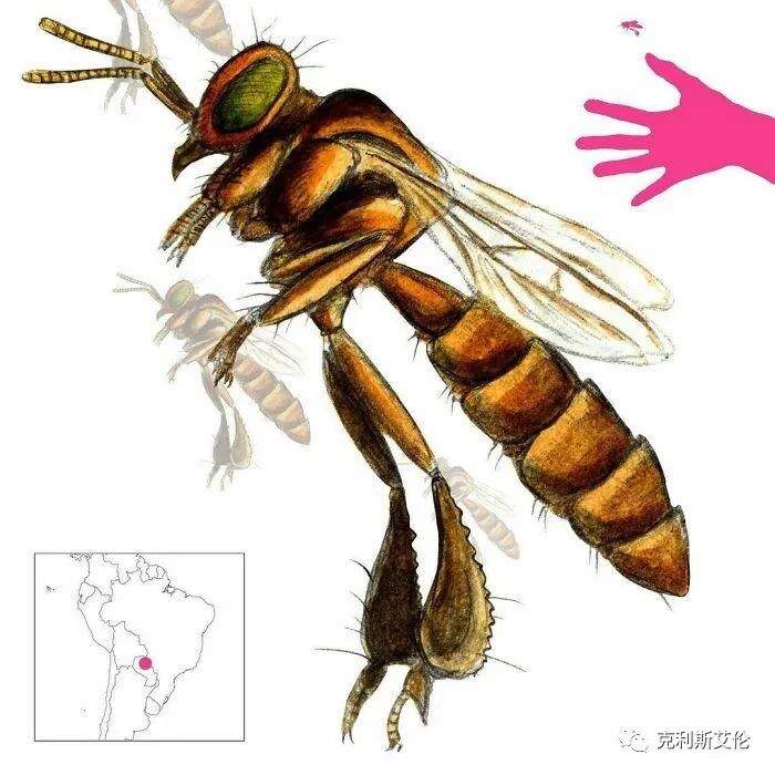 世间生物皆有灵性_世间各种生物_世间生物都是怎么形成的