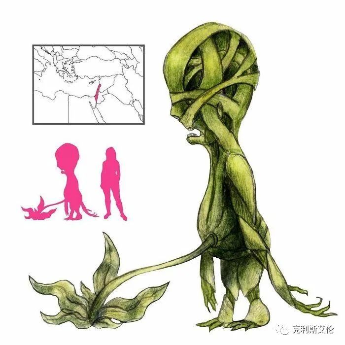 世间各种生物_世间生物皆有灵性_世间生物都是怎么形成的