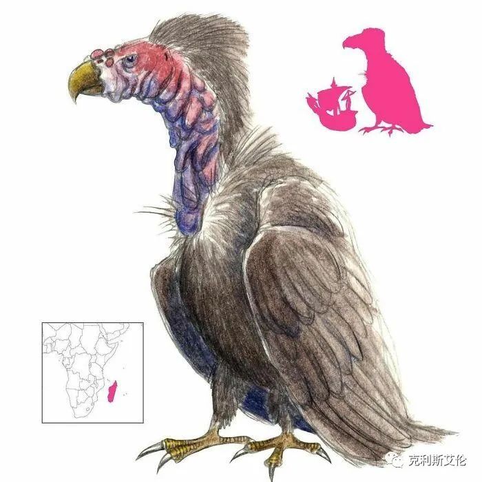 世间生物皆有灵性_世间各种生物_世间生物都是怎么形成的