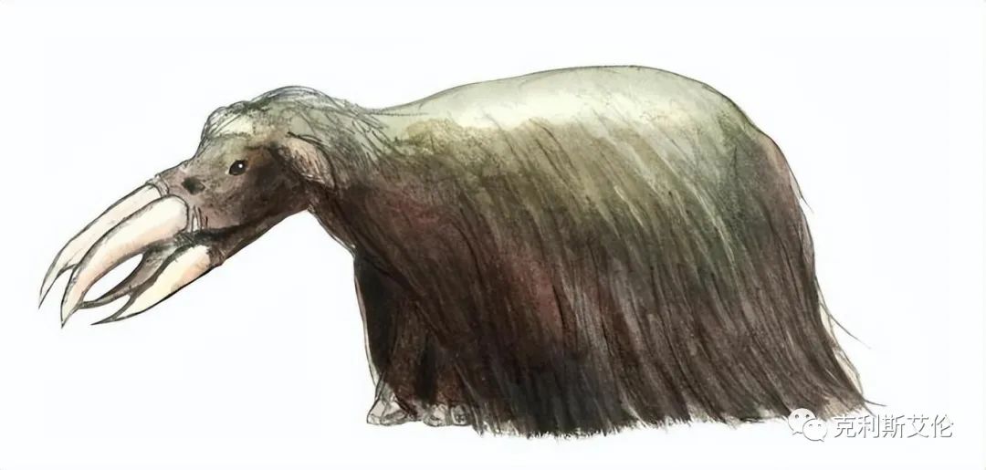 世间各种生物_世间生物皆有灵性_世间生物都是怎么形成的