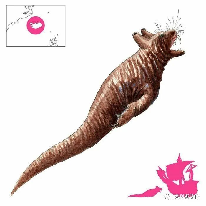 世间各种生物_世间生物皆有灵性_世间生物都是怎么形成的
