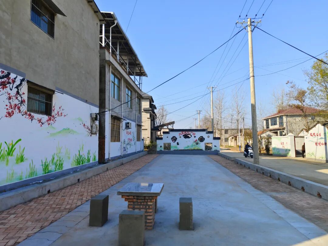 美丽乡村插花镇第十六轮农村人居环境整治现场观摩活动