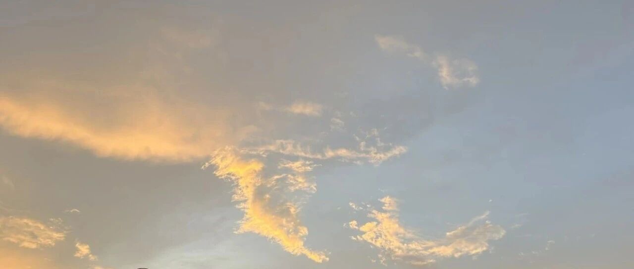 cover_image