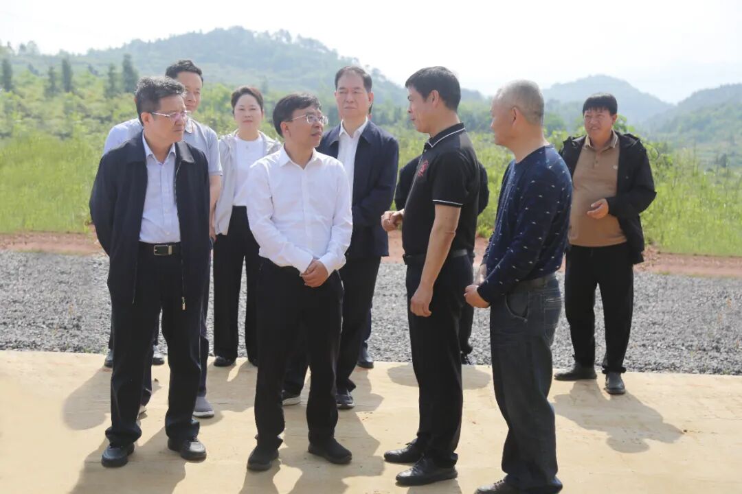 赖明勇在邵阳县新田村调研：加强文旅融合，让游客“愿意来”“留得住”(图1)