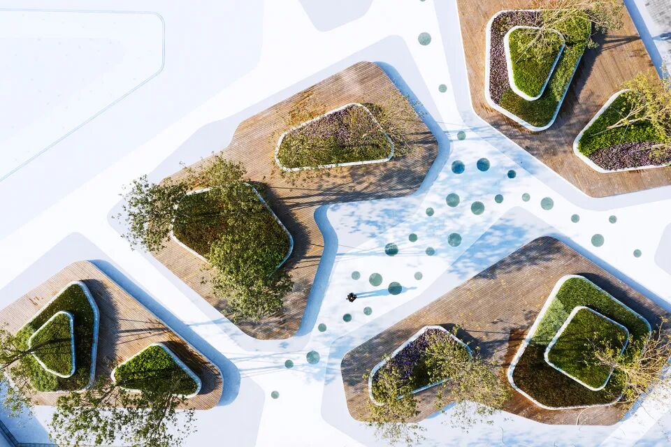 小小一方种植池，主角配角两相宜