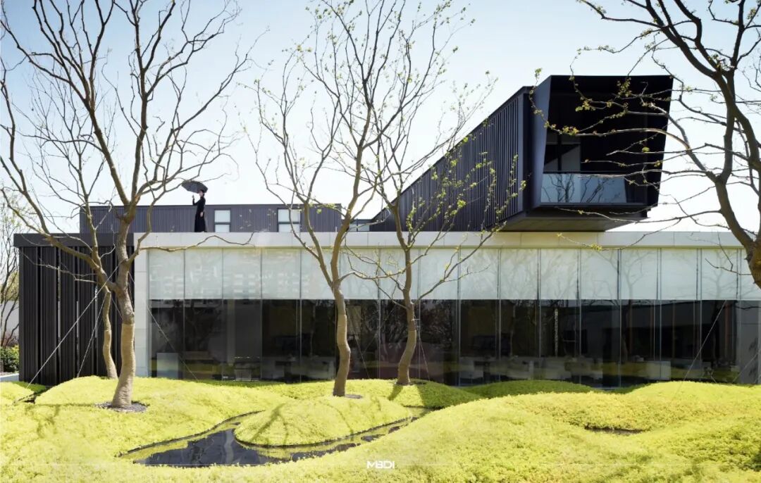 小小一方种植池，主角配角两相宜