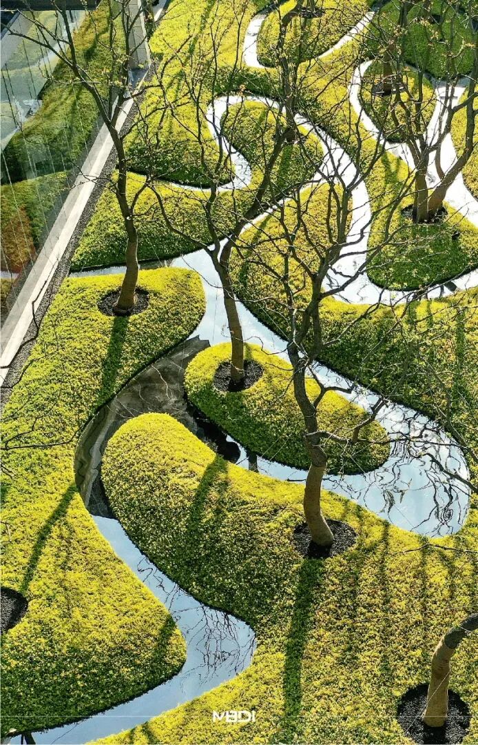 小小一方种植池，主角配角两相宜