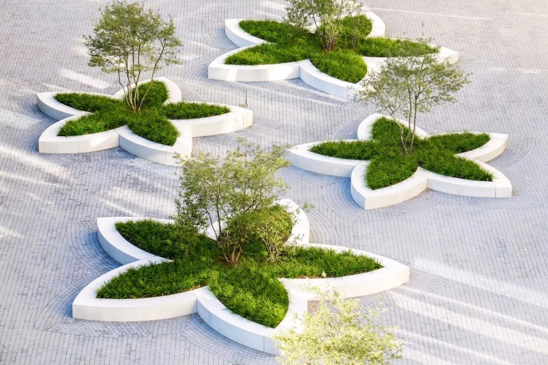 小小一方种植池，主角配角两相宜