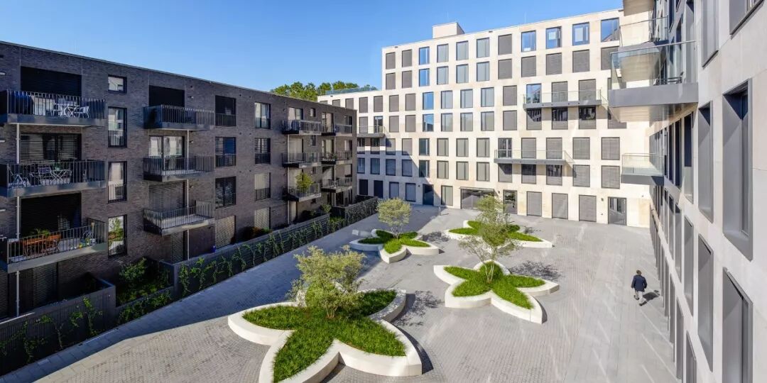 小小一方种植池，主角配角两相宜