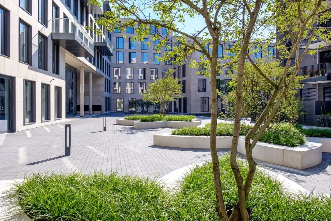 小小一方种植池，主角配角两相宜