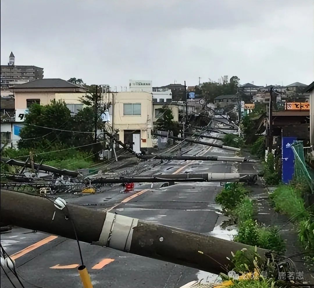 日本物价为何暴涨