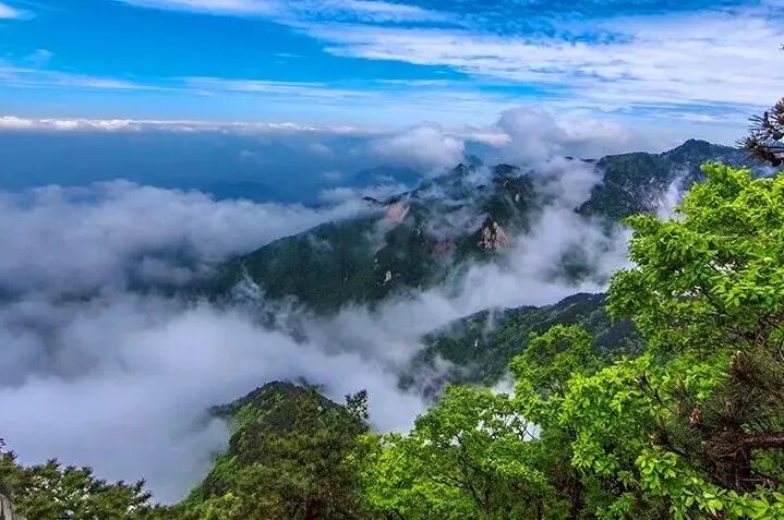 雾起薄刀峰  韩峰 摄.jpg