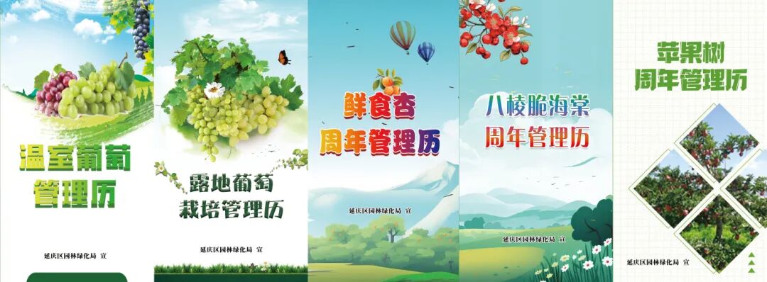 主要果树周年管理历封面.jpg