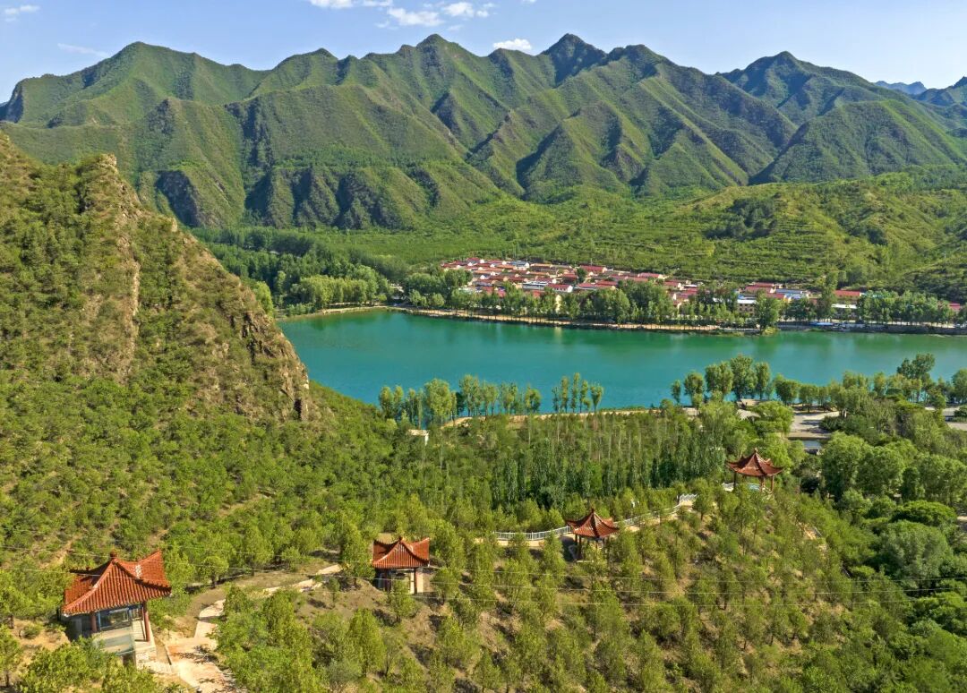 硅化木公园 张夏泽， (6)(1).JPG