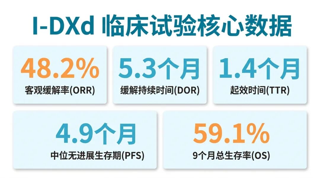 I-DXd临床试验核心数据图表