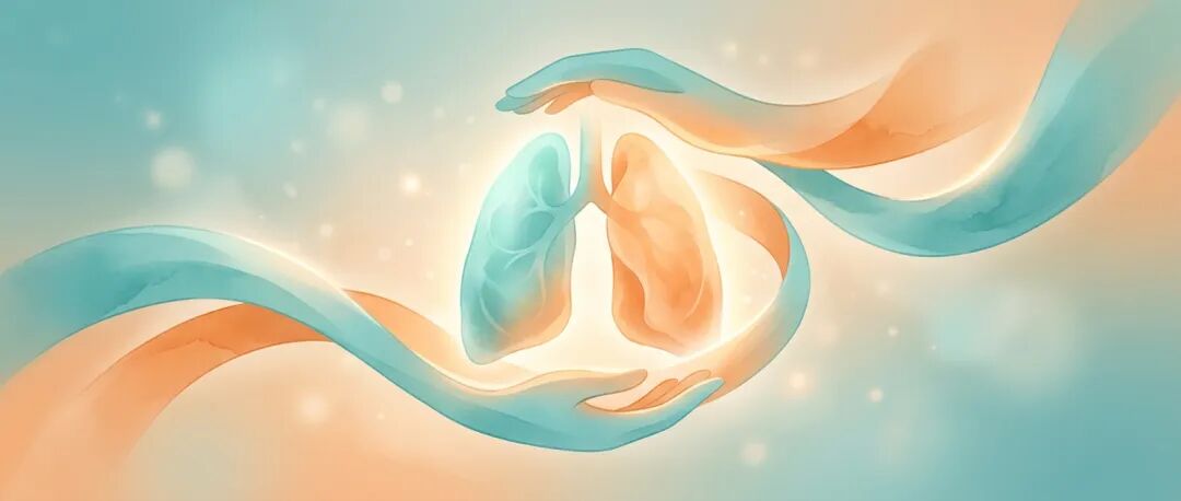 温暖的抽象肺部与双手意象插画