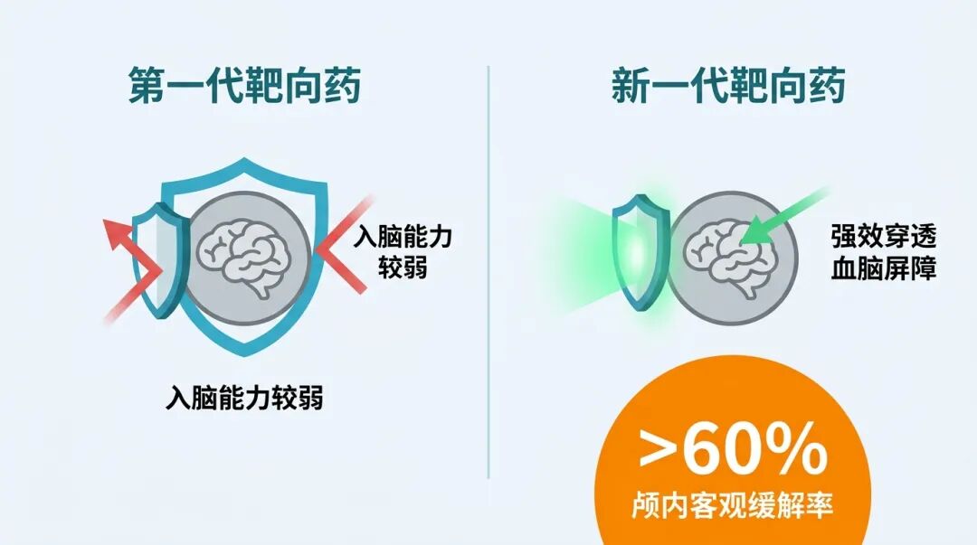 新老靶向药入脑能力与疗效对比图