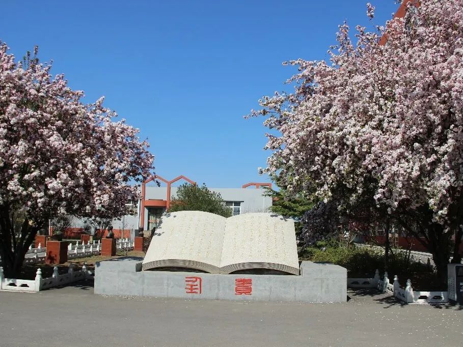 天津市第四中学制式校服_天津四中校服_天津四中自立中学校服