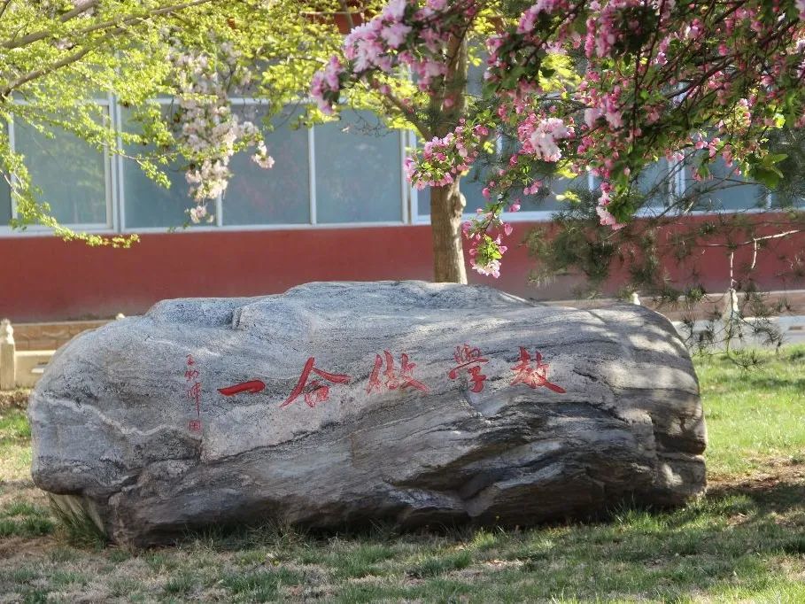 天津四中自立中学校服_天津四中校服_天津市第四中学制式校服