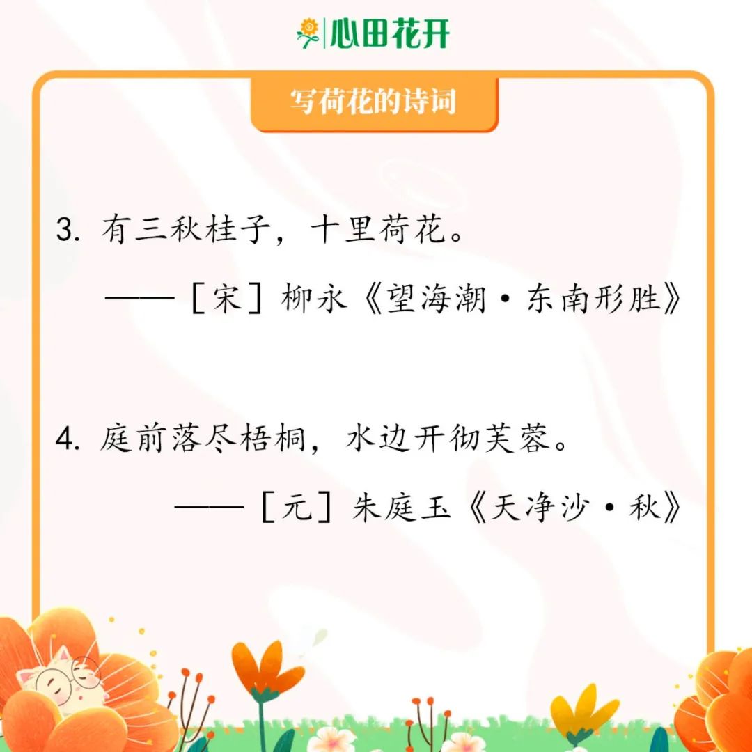 描写荷花的19句绝美诗句 你读过几首 教育资讯网