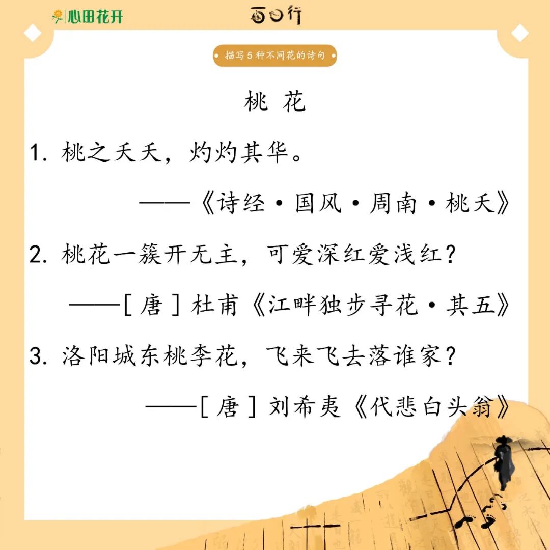 形容花只会说 好美 这些写花的诗词 速速收藏 康美运势网