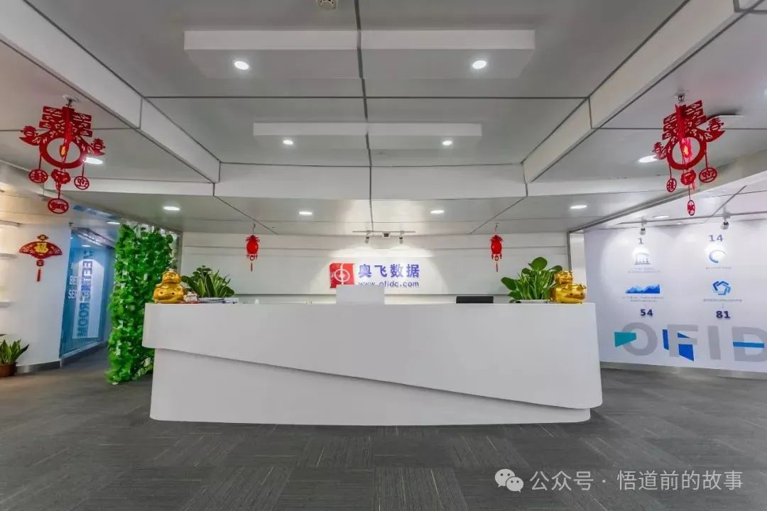 每天读懂一家上市公司—奥飞数据（300738）