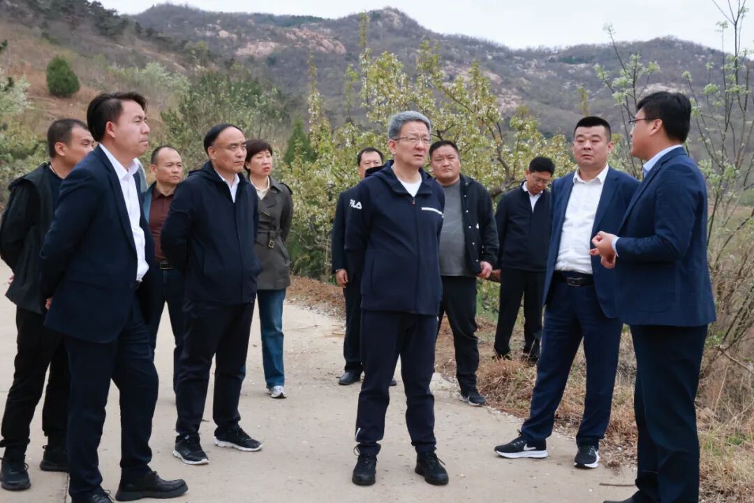 王德海督导检查森林防灭火工作