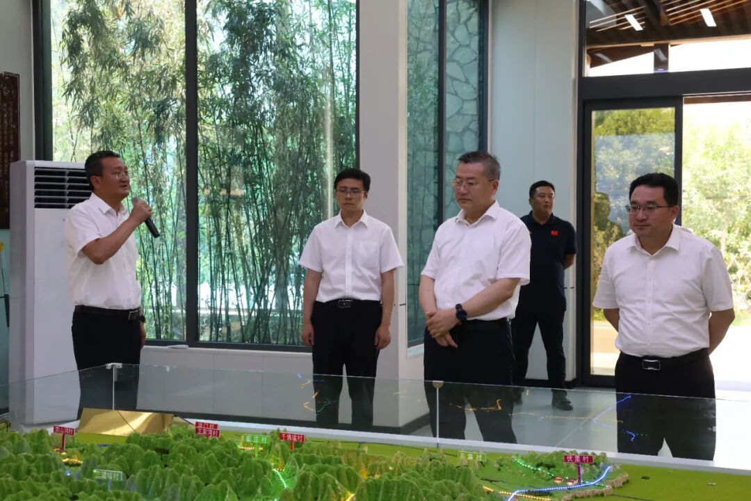 张龙江来我区调研