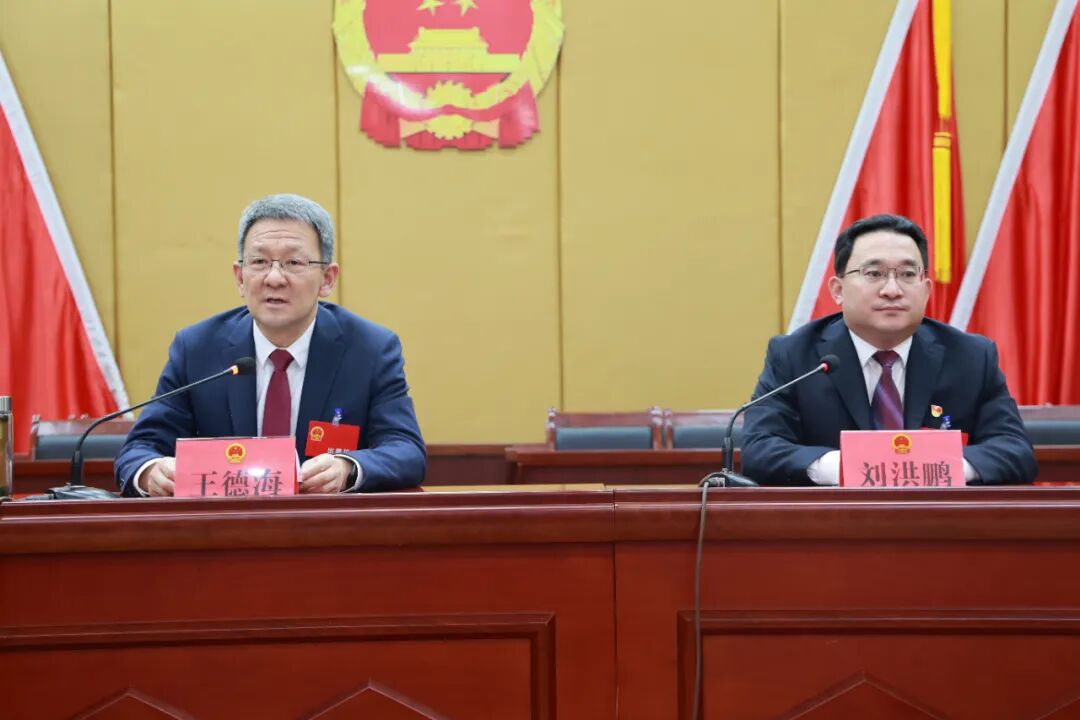 区委书记王德海出席并讲话,区委副书记,区长刘洪鹏主持会议,全体党员