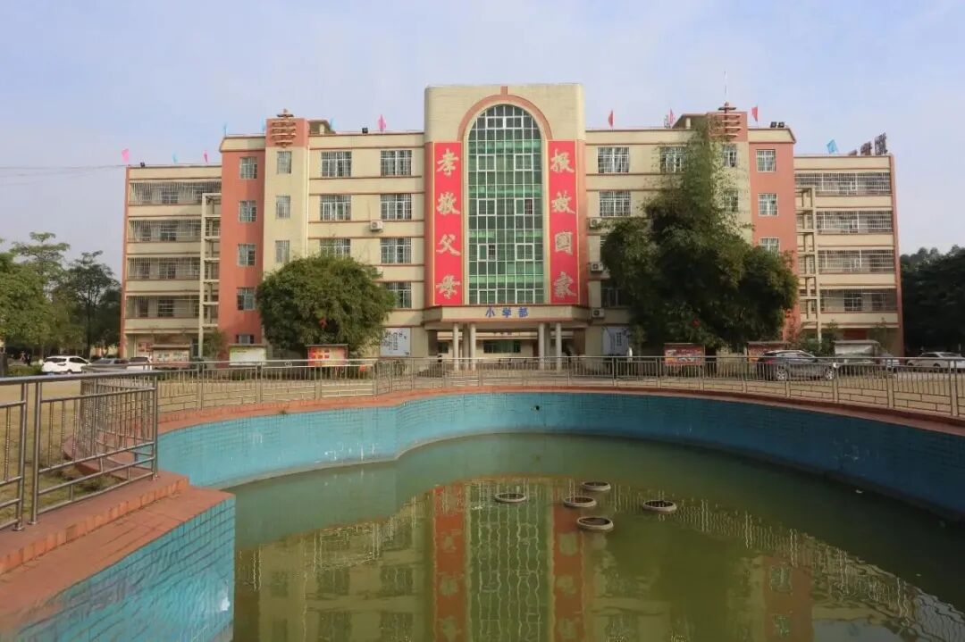 近日"广西南宁隆安县龙翔学校"你敢相信这个是真的吗?