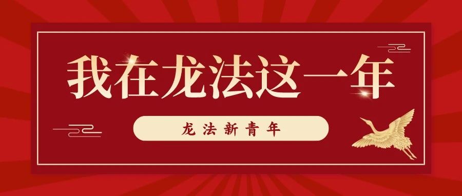 龙法新青年 | 张雅钦:我在龙法这一年